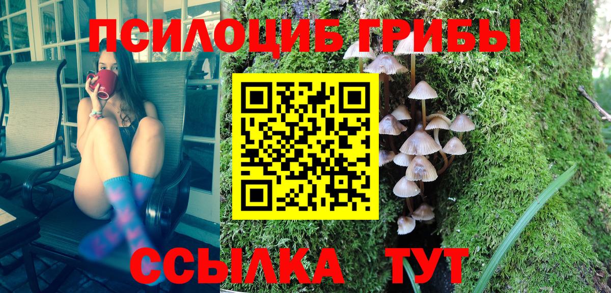Галлюциногенные грибы Cubensis Заволжье