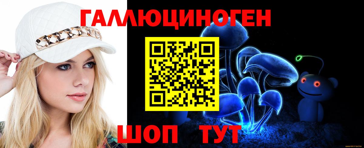 Заволжье  Галлюциногенные грибы Psilocybine cubensis  Вход с VPN 